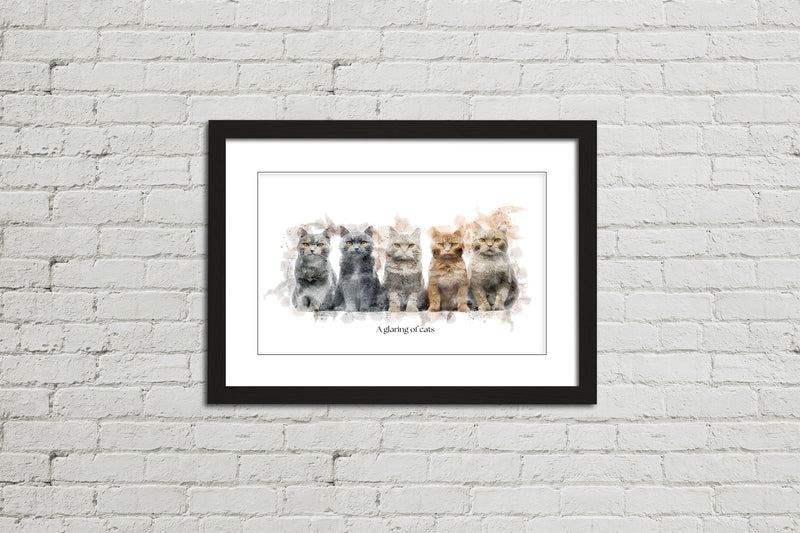 A Glaring of Cats – Framed Wall Art Print