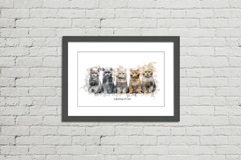 A Glaring of Cats – Framed Wall Art Print