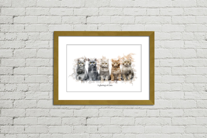 A Glaring of Cats – Framed Wall Art Print