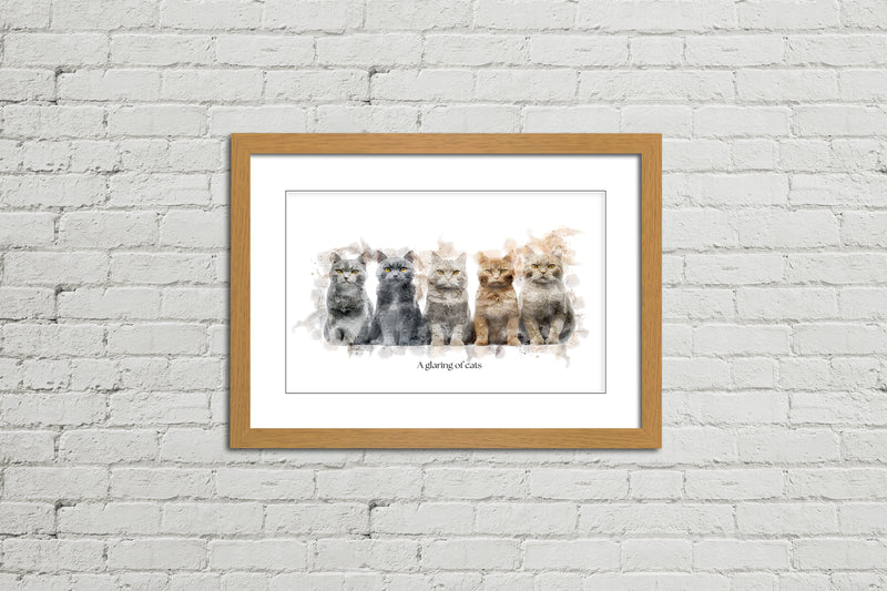 A Glaring of Cats – Framed Wall Art Print