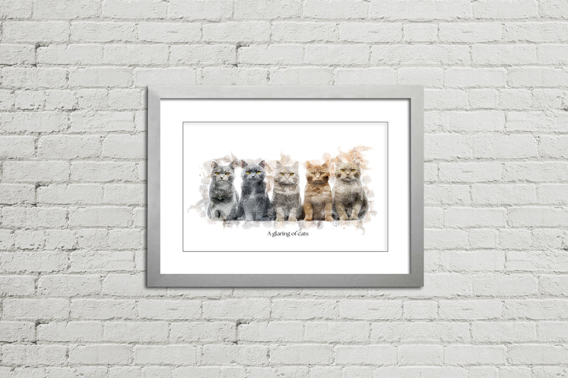 A Glaring of Cats – Framed Wall Art Print