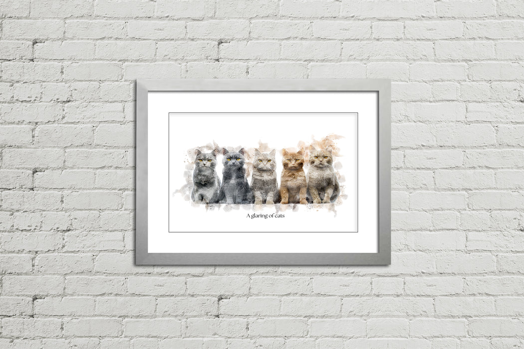 A Glaring of Cats – Framed Wall Art Print