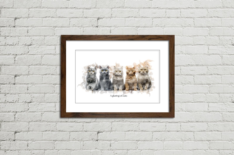 A Glaring of Cats – Framed Wall Art Print