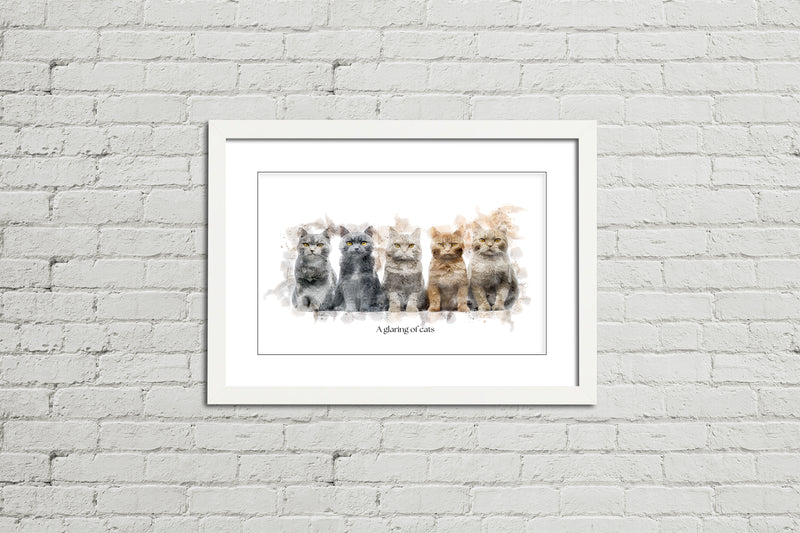 A Glaring of Cats – Framed Wall Art Print