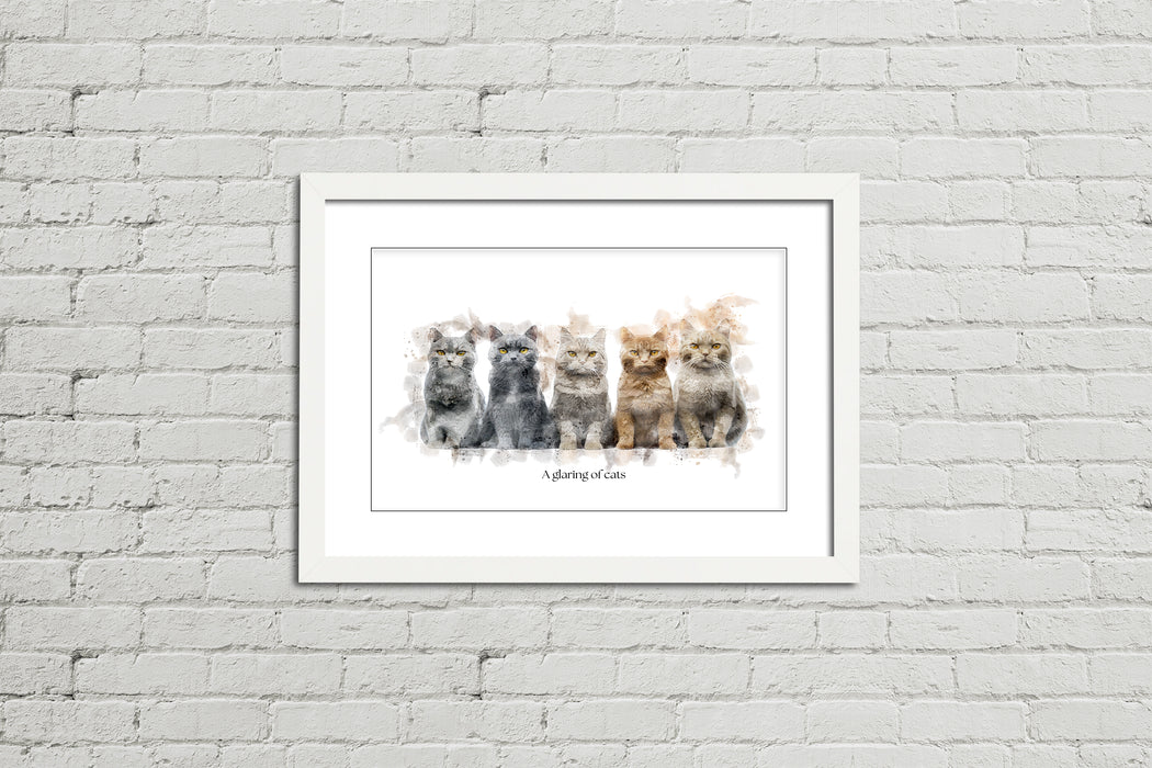 A Glaring of Cats – Framed Wall Art Print