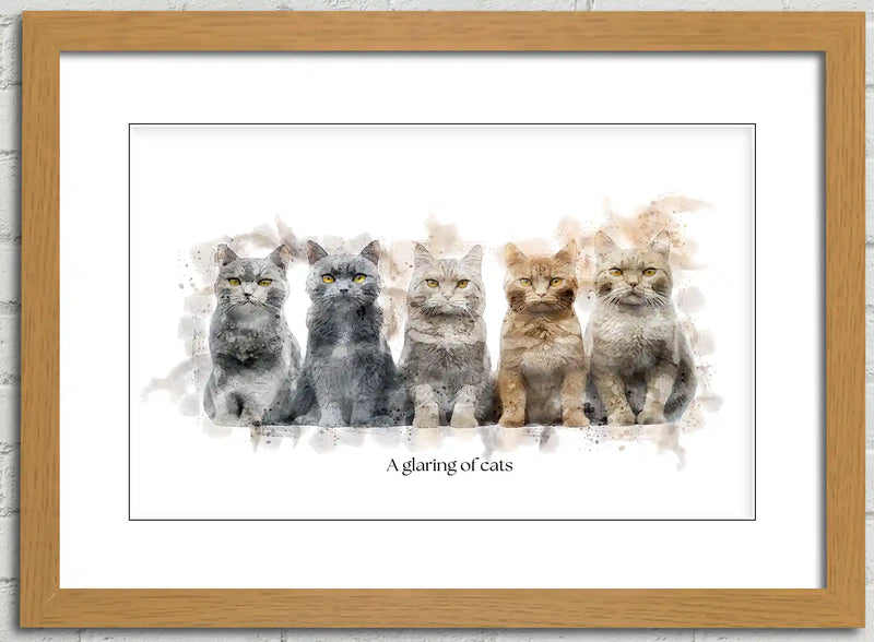A Glaring of Cats – Framed Wall Art Print