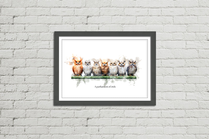 A Parliament of Owls – Framed Wall Art Print