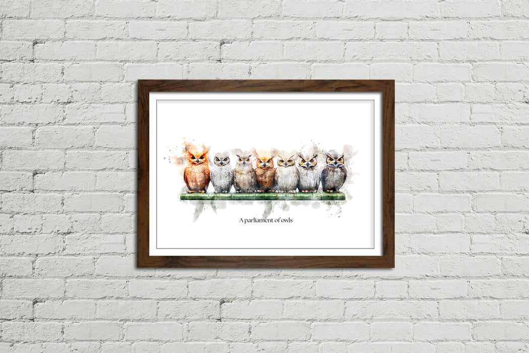 A Parliament of Owls – Framed Wall Art Print