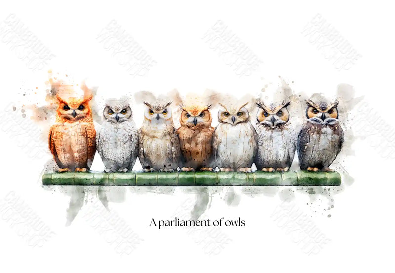 A Parliament of Owls – Framed Wall Art Print