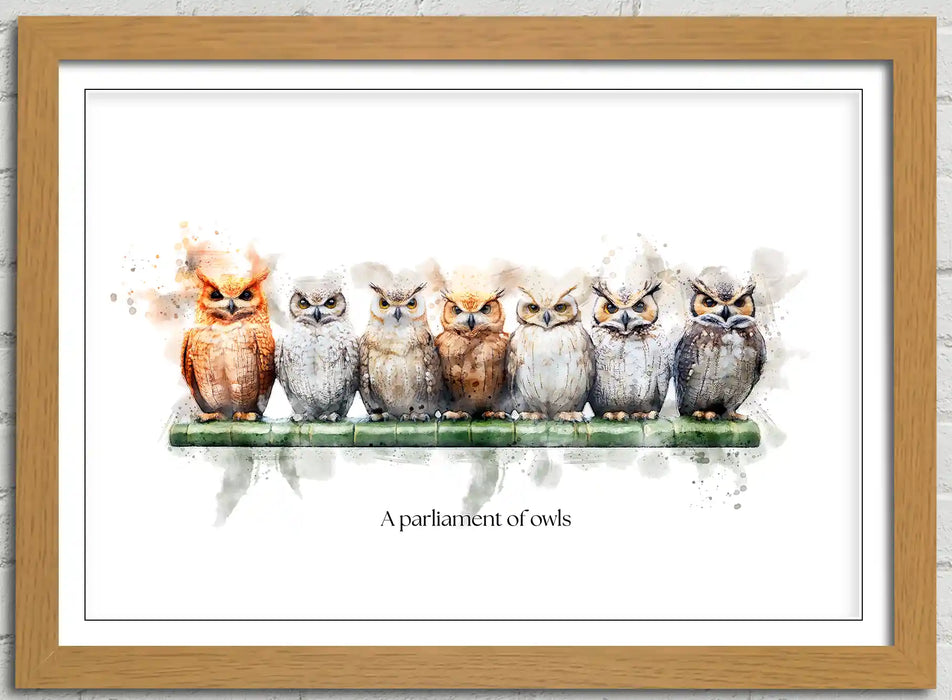 A Parliament of Owls – Framed Wall Art Print