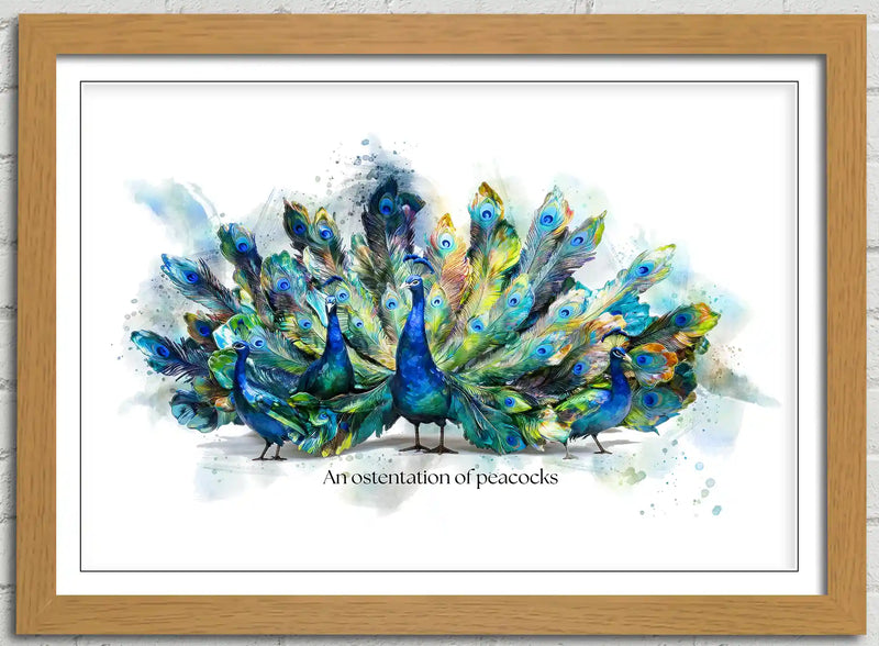 An Ostentation of Peacocks – Framed Wall Art Print