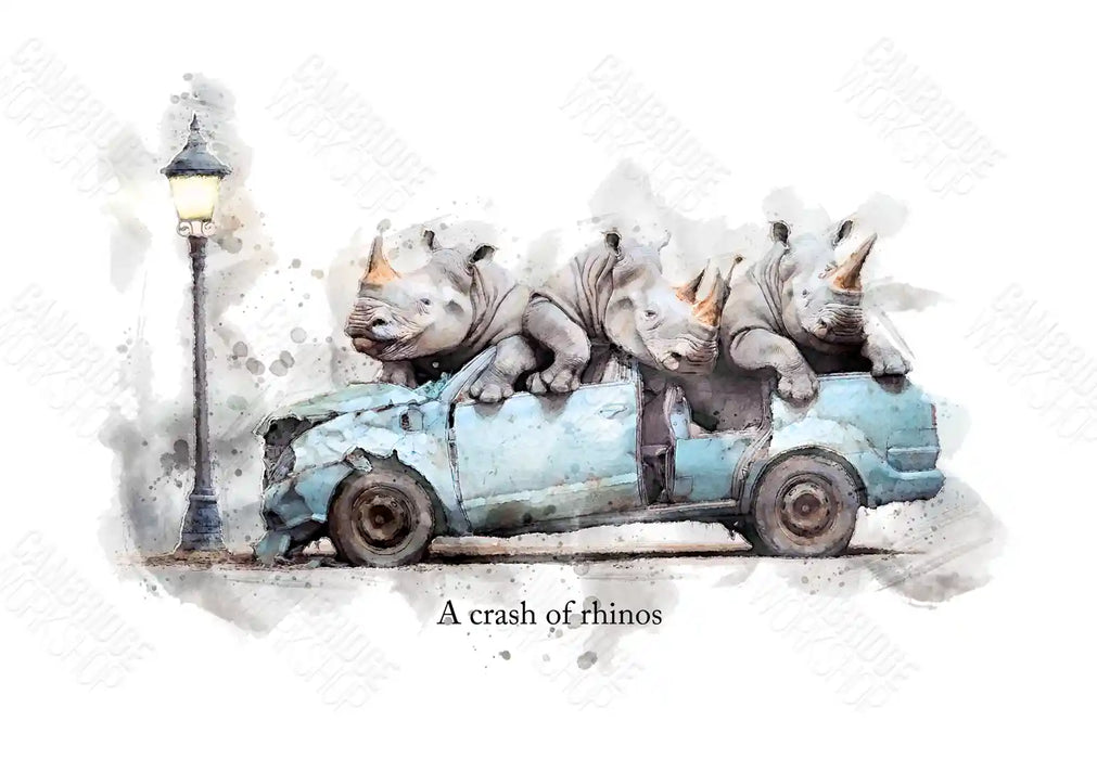 A Crash of Rhinos – Framed Wall Art Print