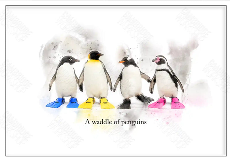 A Waddle of Penguins – Framed Wall Art Print
